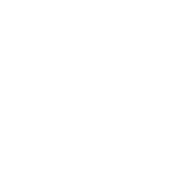vision-icon