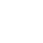 vision-icon